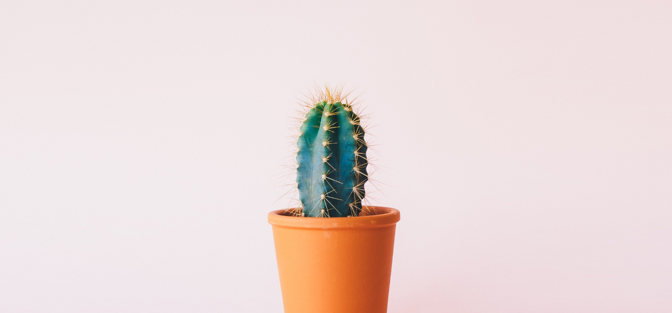 Acupuncture for Bruxism: Does acupuncture for teeth grinding work?