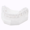 The Retainer - for teeth retention and teeth grinding